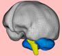 brain_small.gif